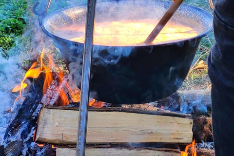 From Belgrade: Traditional Village Food Experience Tour