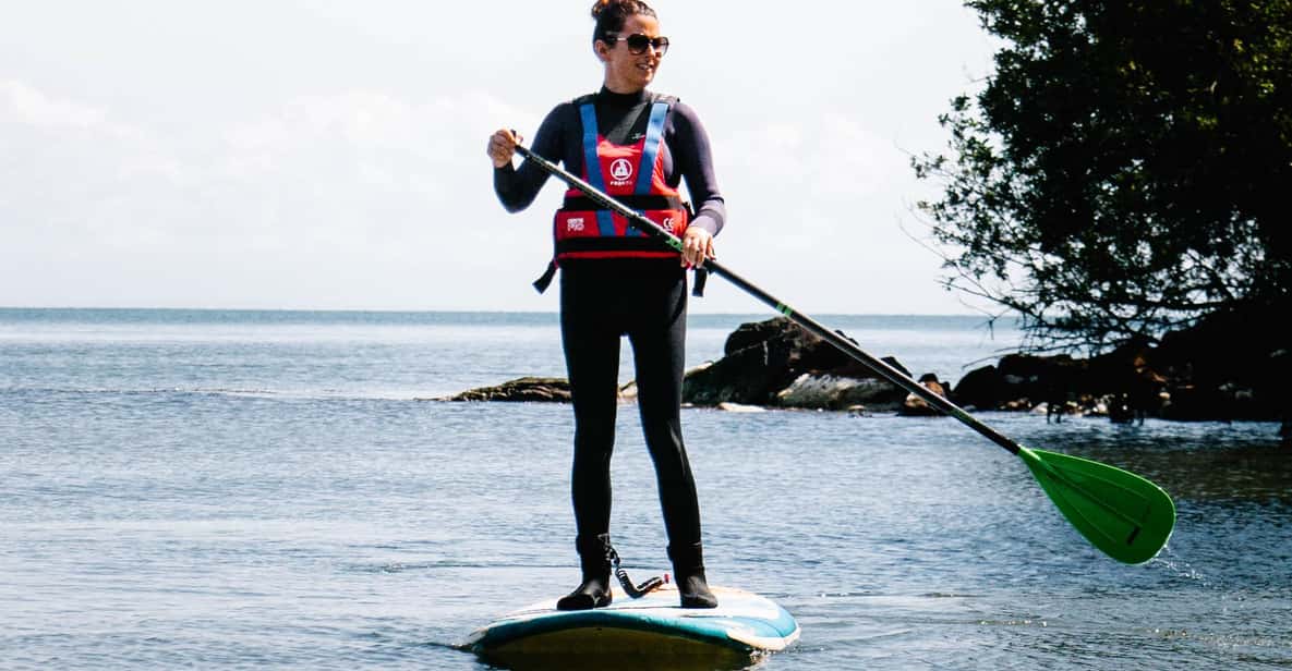 スタッドランド湾、ドーセット：パドルボードレッスン | GetYourGuide