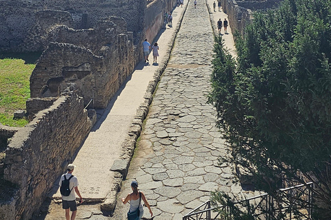 Guided group tour of Pompeii with an expert in archaeology.