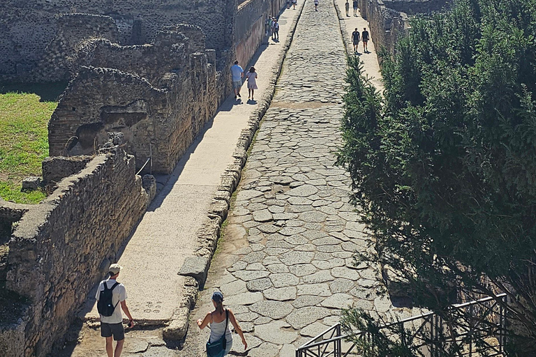 Guided group tour of Pompeii with an expert in archaeology.