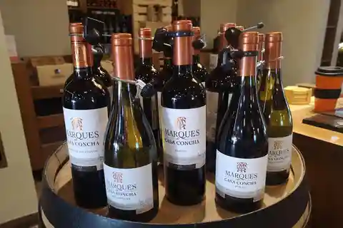 Ruta del Vino con 7 Catas + Transporte Privado + Lapislázuli