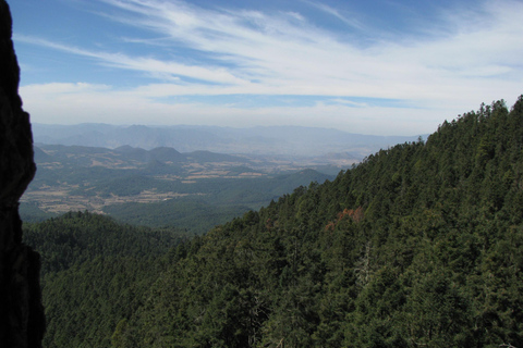 Från Mexico City: 7-dagars monarkfjärilsresaFrån Mexico City: 7-dagars tur med monarkfjärilar