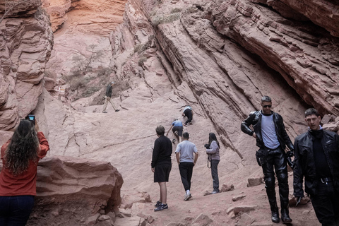 Cafayate: Tour de dia completo por bodegas y degustacion de vinos