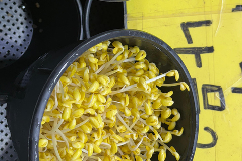 Seul: passeio histórico e gastronómico por Suwon com chá e sobremesa reais