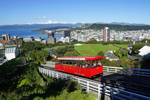 Wellington: WLG Airport to CityCentre|Hotel Private Transfer