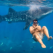 Cebu: Ocean Trilogy – Whale Sharks, Sumilon & Pescador