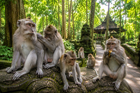 Bali: Monkey Forest, & Temple, With Waterfall, Swing Tour Private Tour Entry Ticket