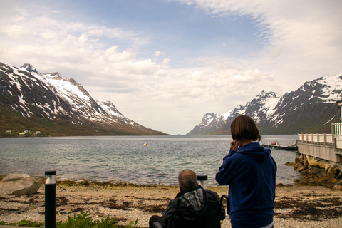 Tromsø: Fjords, Kvaløya & Sommarøy Accessible Tour w/ Lunch