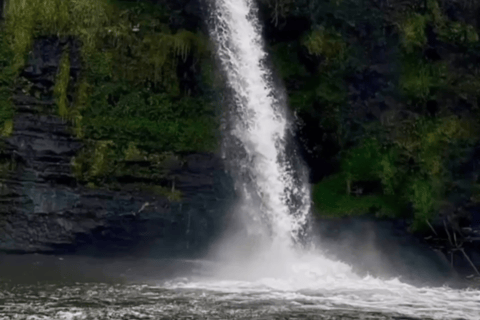 Quito vattenfall: Vattenfall, Ridning, Bin, Canopy