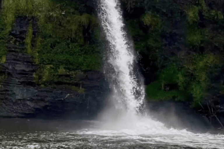 Quito vattenfall: Vattenfall, Ridning, Bin, Canopy