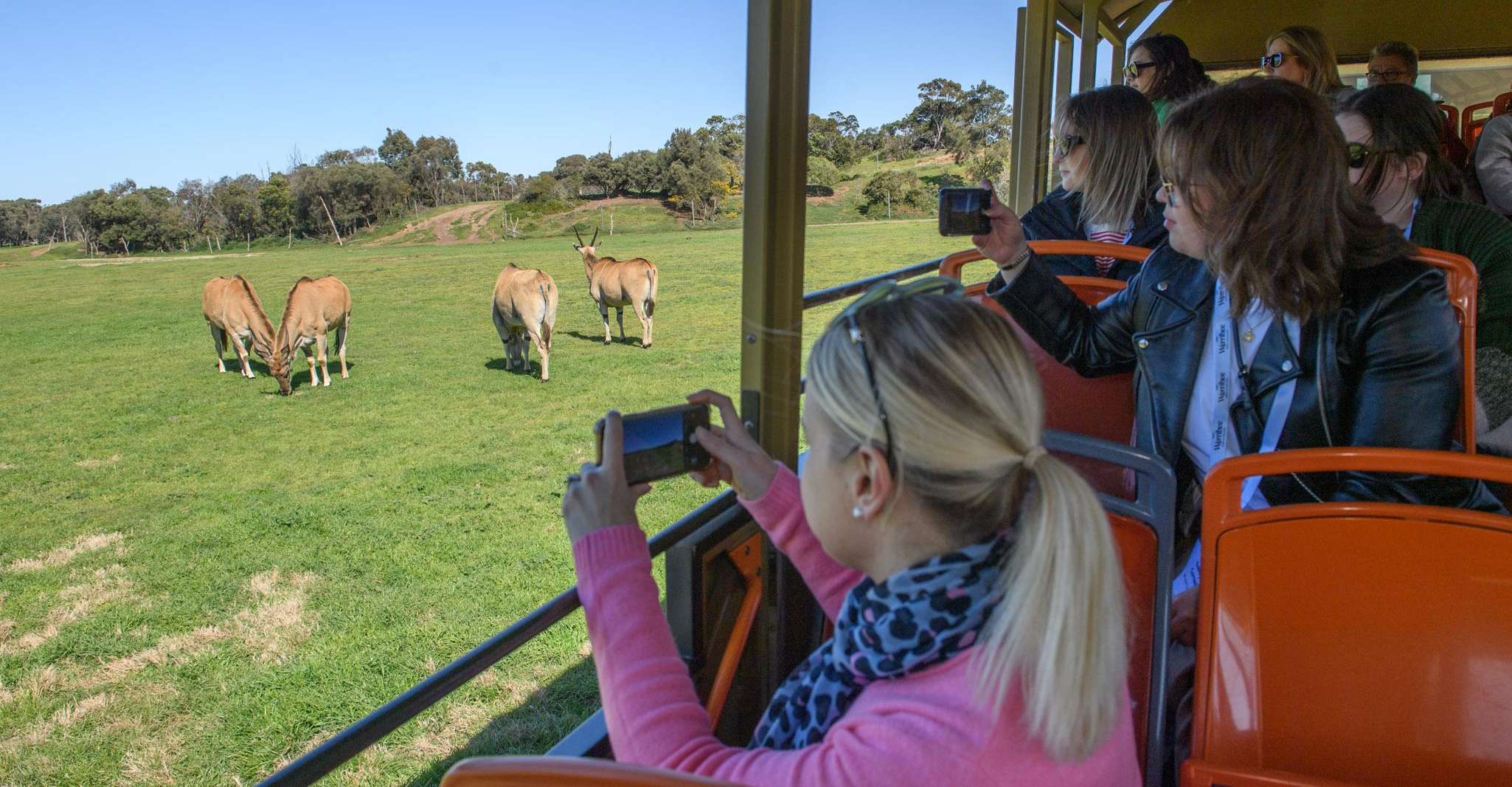 From Melbourne: Werribee Open Range Zoo & Werribee Mansion