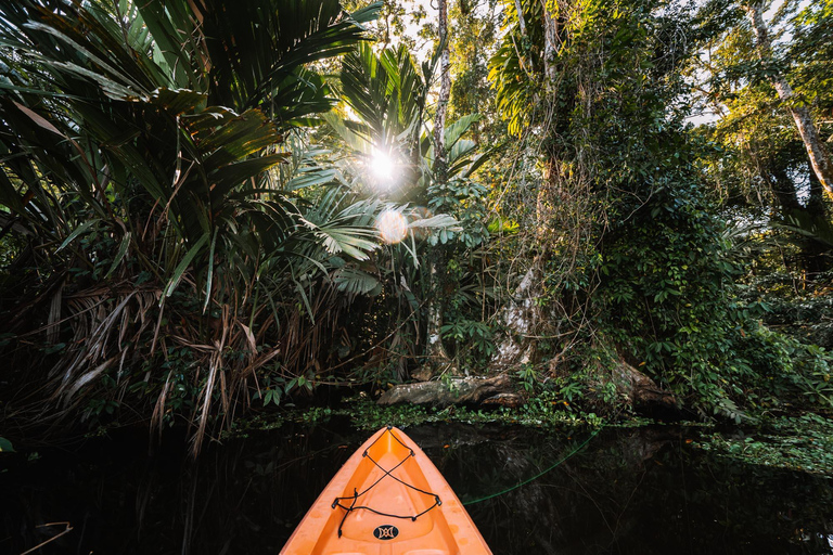 Parc national de Tortuguero : Les meilleures choses à faire à Tortuguero