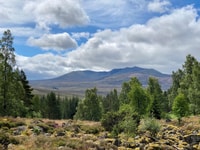 Aberdeenshire, Balmoral Cairns Walking Tour - Housity