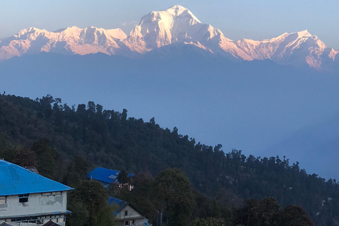 Poon hill Trek 1 Night 2 Days