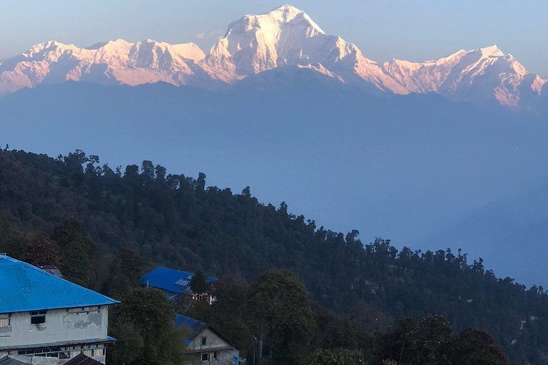 Poon hill Trek 1 Night 2 Days