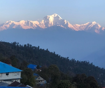 Poon hill Trek 1 notte 2 giorni