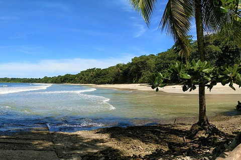 Costa Rica: Tour particular para observação de golfinhos e baleias em Uvita