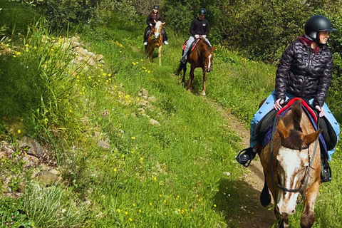 Catania: Guided Horseback Ride in Misterbianco Countryside