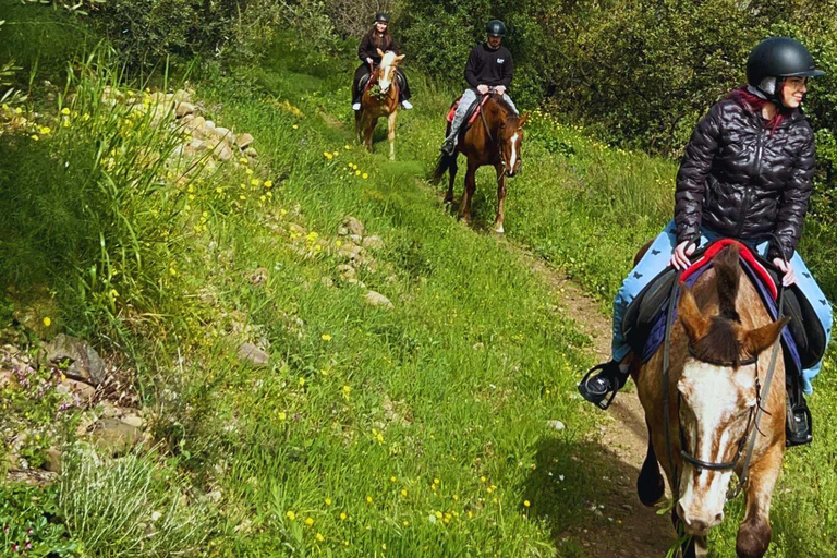 Catania: Guided Horseback Ride in Misterbianco Countryside