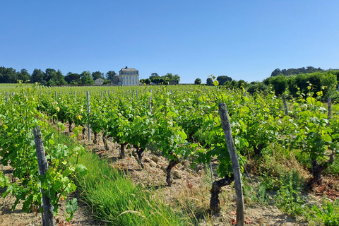 Introduction to Loire Anjou Wines - Morning tour