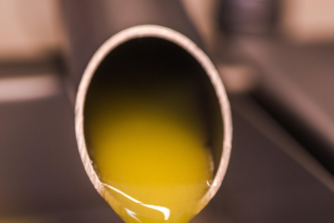 Menorca: Olive Oil Experience in Binissaida with Guided Tasting