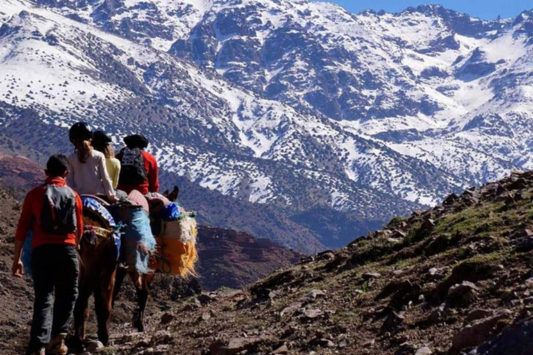 From Marrakech: 2-Day Mount Toubkal Trek