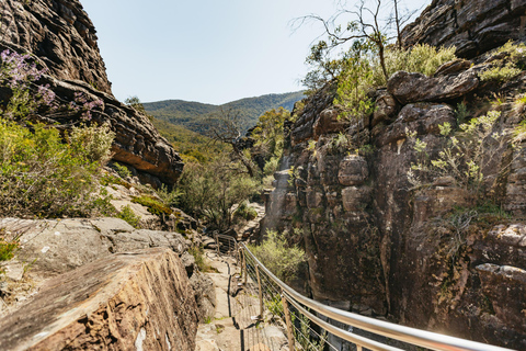 Desde Melbourne: Excursión en grupo al Parque Nacional de los Grampians