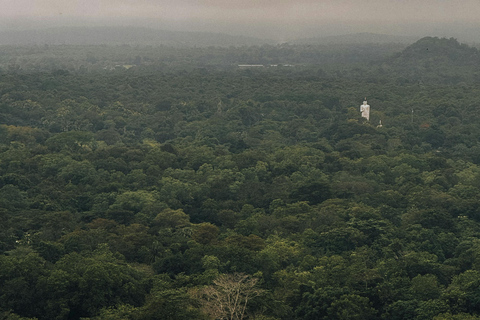 From Colombo or Kandy: Sigiriya Rock Fortress Day Tour