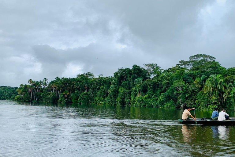 Sunset tour in the Jungle and Encounter with Capybaras