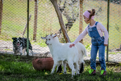 Rimini: San Leo Cashmere Farm Experience San Leo Cashmere: Grazing with the Shepherd