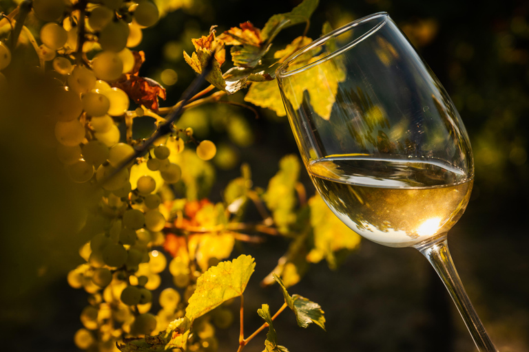 Budapest: Half-Day Wine Tour and Meal in Local Wine Village