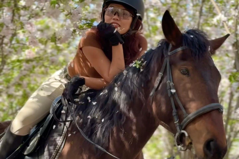 بكين: تجربة ركوب الخيل مع عشاء