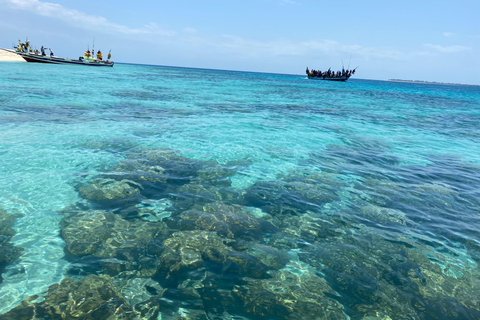 Mnemba: Afrikanska Maldiverna dagstur med lunchNungwi: Afrikanska Maldiverna dagstur med lunch