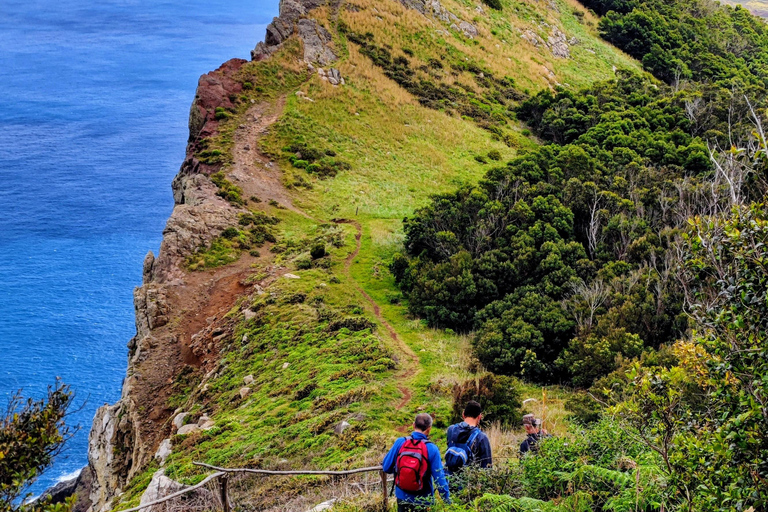 Excursión por la costa de Madeira