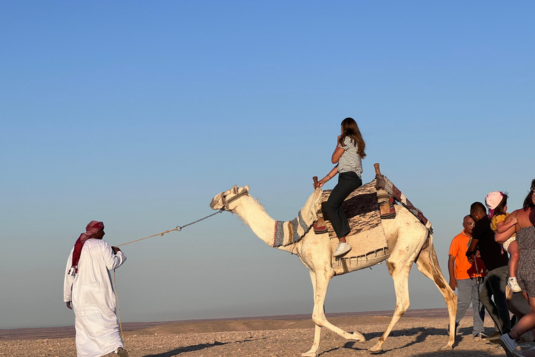 Hurghada: Camel Ride & horse ride and Off-Road Jeep Tour pickup from hotels inside hurghada