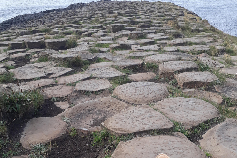 Från Belfast: Giant&#039;s Causeway &amp; Game of Thrones-turnéFrån Belfast: Giant&#039;s Causeway och Game of Thrones-turné