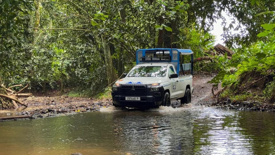 Moorea : visite guidée en 4x4 avec randonnée sur la montagne magique