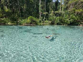Von Khao Lak/Khao Sok: Cheow Lan See und Emerald Pool Tour