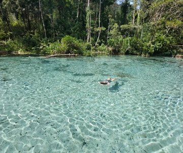 Vanuit Khao Lak/Khao Sok: Cheow Lan meer en Emerald Pool tour