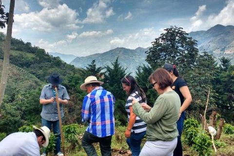 MEDELLÍN: TOUR DE MEDIO DÍA DE CAFÉ EN UNA GRANJA FAMILIAR LOCAL