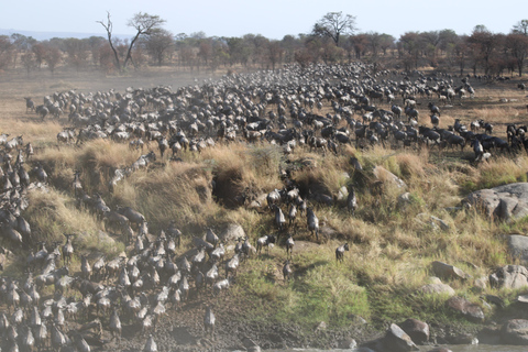 Serengeti: 5-Day Mara River Crossing Safari