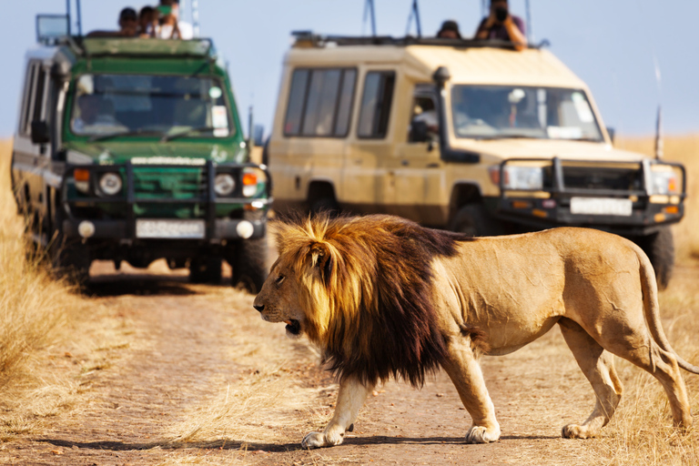 Maasai Magic & Nakuru's Charms: 4-Day Wilderness Safari