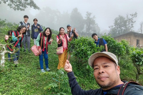 Chiang Mai: 2-Day LAHU tribe &amp; Tea tourism Experience