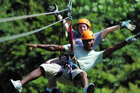 Punta Cana: Avventura nella foresta pluviale con la zipline