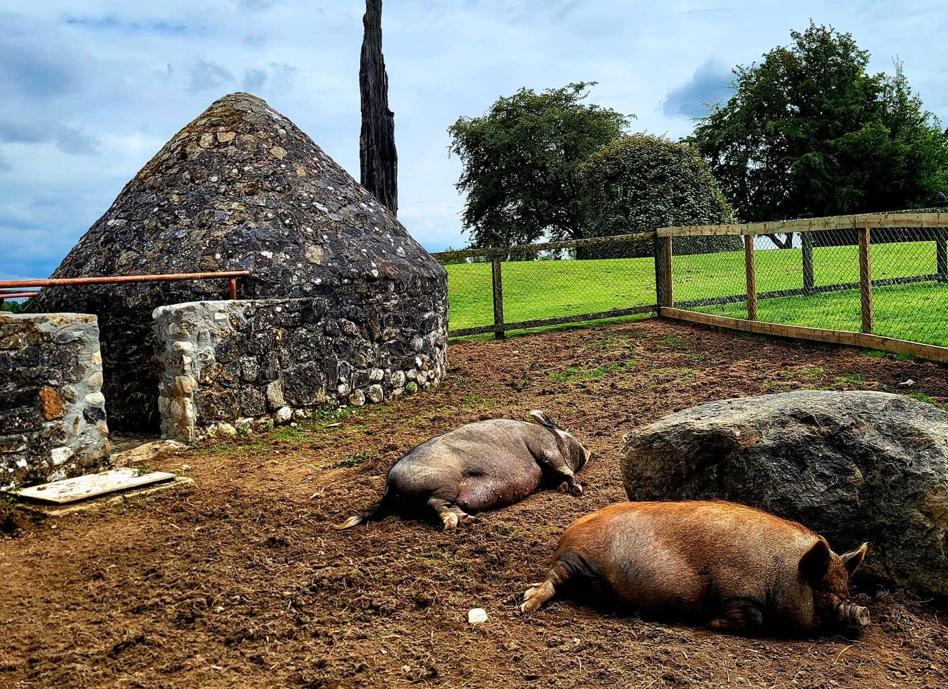 Moate: Adgangsbillet til Dún na Sí Amenity & Heritage Park