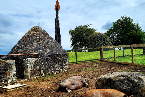 Moate: Dún na Sí Amenity & Heritage Park Admission Ticket