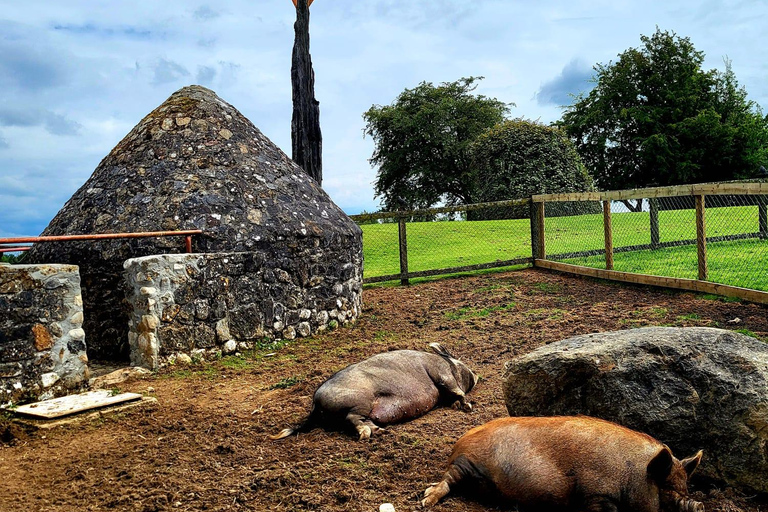 Moate: Dún na Sí Amenity & Heritage Park Admission Ticket