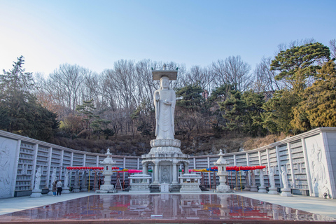 Seúl: Templo Bongeunsa y tour nocturno gastronómico en Gangnam