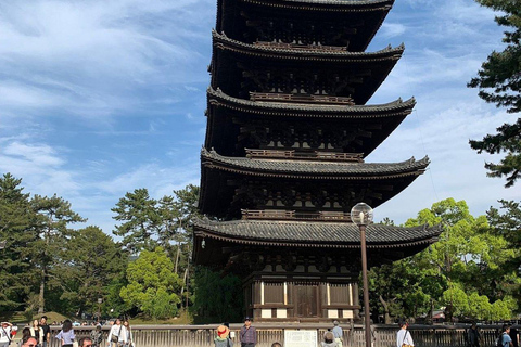 Nara Gardens and Temples Private Guided Tour with Transport