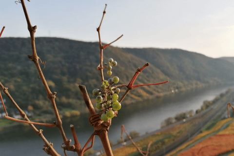 Koblenz: Den levande vingården, Natur &amp; Vinupplevelser